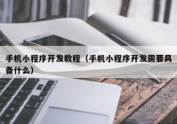 手机小程序开发教程（手机小程序开发需要具备什么）