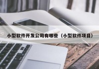 小型软件开发公司有哪些（小型软件项目）