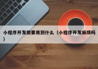 小程序开发需要用到什么（小程序开发麻烦吗）