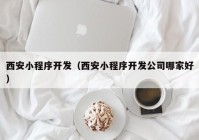 西安小程序开发（西安小程序开发公司哪家好）