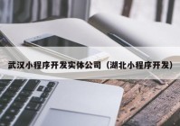 武汉小程序开发实体公司（湖北小程序开发）