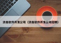 济南软件开发公司（济南软件开发公司招聘）