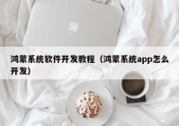 鸿蒙系统软件开发教程（鸿蒙系统app怎么开发）