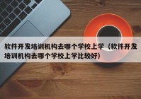 软件开发培训机构去哪个学校上学（软件开发培训机构去哪个学校上学比较好）