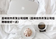 昆明软件开发公司招聘（昆明软件开发公司招聘哪些好一点）