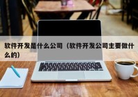 软件开发是什么公司（软件开发公司主要做什么的）