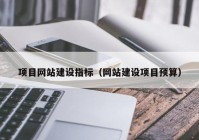 项目网站建设指标（网站建设项目预算）