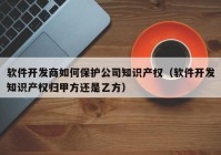 软件开发商如何保护公司知识产权（软件开发知识产权归甲方还是乙方）