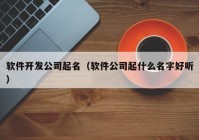 软件开发公司起名（软件公司起什么名字好听）