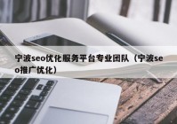 宁波seo优化服务平台专业团队（宁波seo推广优化）