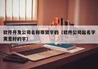 软件开发公司名称带贤字的（软件公司起名字寓意好的字）