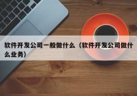 软件开发公司一般做什么（软件开发公司做什么业务）