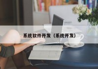 系统软件开发（系统开发）