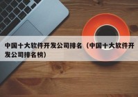 中国十大软件开发公司排名（中国十大软件开发公司排名榜）