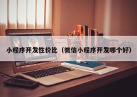 小程序开发性价比（微信小程序开发哪个好）