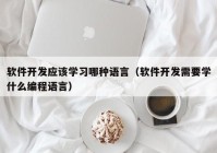 软件开发应该学习哪种语言（软件开发需要学什么编程语言）