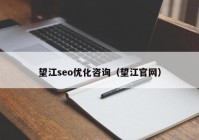 望江seo优化咨询（望江官网）