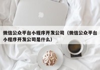 微信公众平台小程序开发公司（微信公众平台小程序开发公司是什么）