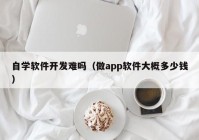 自学软件开发难吗（做app软件大概多少钱）