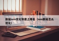 新站seo优化快速上排名（seo新站怎么优化）