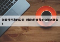 做软件开发的公司（做软件开发的公司叫什么）