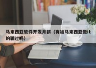 马来西亚软件开发月薪（有被马来西亚做it的骗过吗）