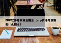 ERP软件开发就业前景（erp软件开发需要什么技术）