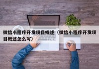 微信小程序开发项目概述（微信小程序开发项目概述怎么写）