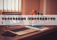 学软件开发有前途吗（学软件开发去哪个学校）