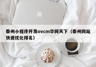 泰州小程序开发ovcm华网天下（泰州网站快速优化排名）