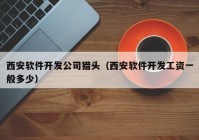 西安软件开发公司猎头（西安软件开发工资一般多少）