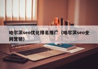 哈尔滨seo优化排名推广（哈尔滨seo全网营销）