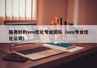 服务好的seo优化专业团队（seo专业优化公司）