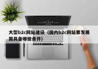 大型b2c网站建设（国内b2c网站要发展需具备哪些条件）