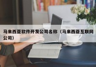 马来西亚软件开发公司名称（马来西亚互联网公司）