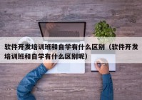 软件开发培训班和自学有什么区别（软件开发培训班和自学有什么区别呢）