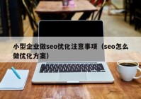 小型企业做seo优化注意事项（seo怎么做优化方案）