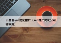 小企业seo优化推广（seo推广优化公司哪家好）