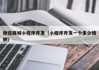 微信商城小程序开发（小程序开发一个多少钱啊）