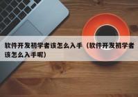 软件开发初学者该怎么入手（软件开发初学者该怎么入手呢）