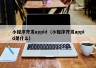 小程序开发appid（小程序开发appid是什么）