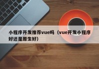 小程序开发推荐vue吗（vue开发小程序好还是原生好）