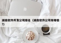 湖南软件开发公司排名（湖南软件公司有哪些?）