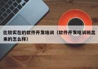 比较实在的软件开发培训（软件开发培训班出来的怎么样）