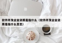 软件开发企业资质是指什么（软件开发企业资质是指什么意思）