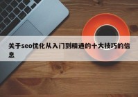 关于seo优化从入门到精通的十大技巧的信息