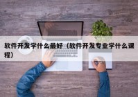 软件开发学什么最好（软件开发专业学什么课程）