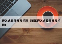 嵌入式软件开发招聘（玉溪嵌入式软件开发招聘）