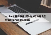 aspice软件开发组织架构（软件开发公司组织架构及部门职责）