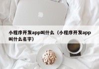 小程序开发app叫什么（小程序开发app叫什么名字）